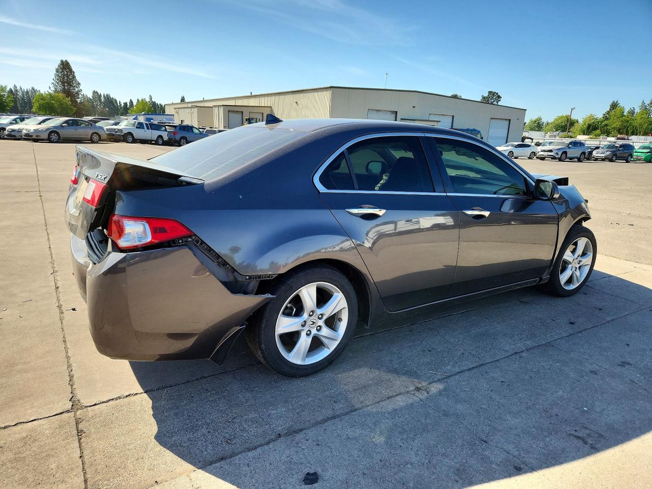 2009 Acura Tsx Gray vin: JH4CU26699C033050