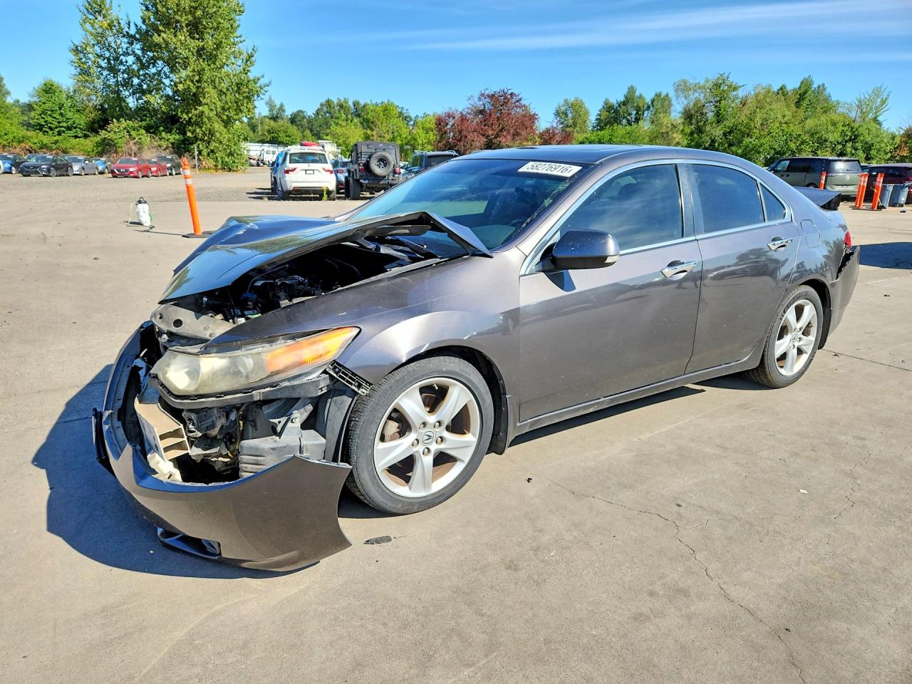 2009 Acura Tsx Серый vin: JH4CU26699C033050