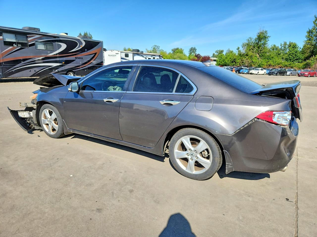 2009 Acura Tsx Gray vin: JH4CU26699C033050