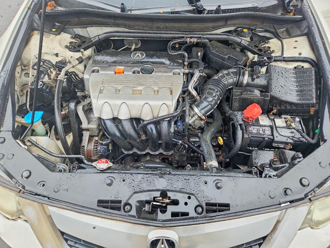 2009 Acura Tsx White vin: JH4CU266X9C022820