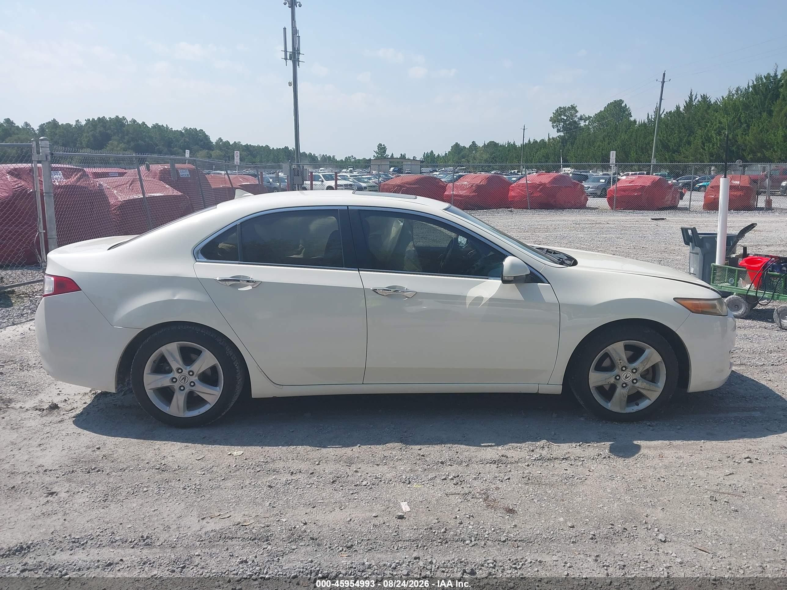 2009 Acura Tsx   White vin: JH4CU266X9C023062