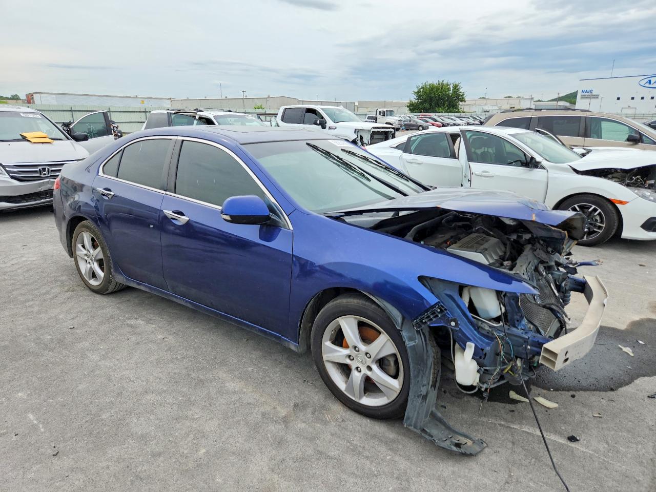 2012 Acura Tsx Blue vin: JH4CU2F41CC000436
