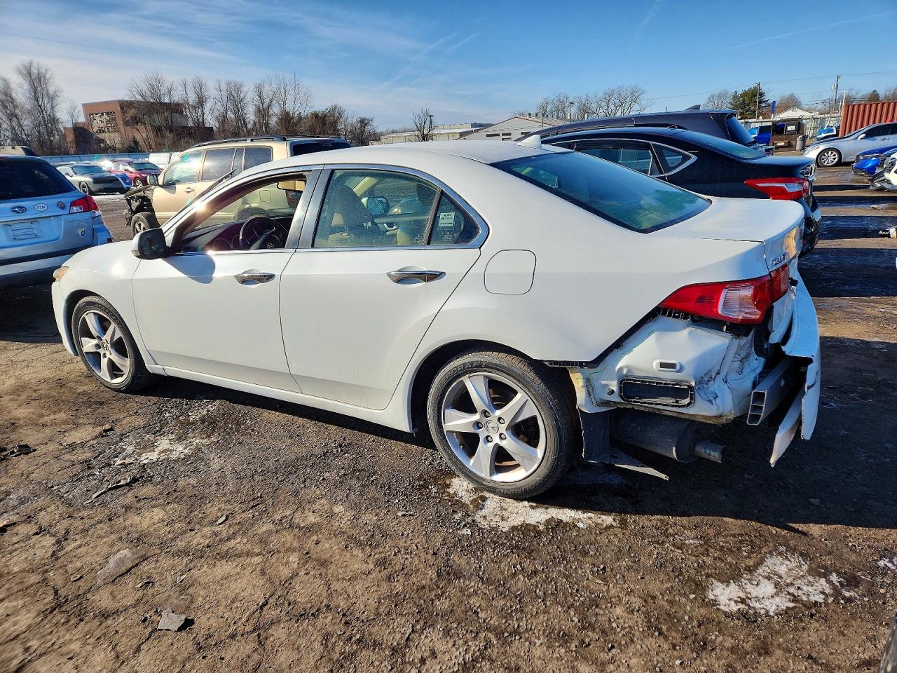 2013 Acura Tsx White vin: JH4CU2F46DC008307