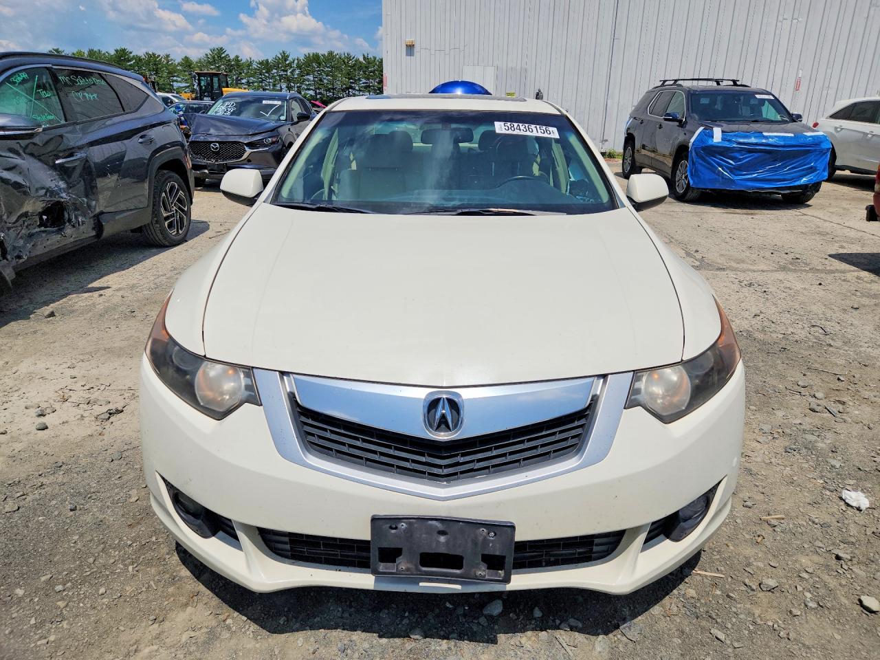 2010 Acura Tsx White vin: JH4CU2F60AC011555