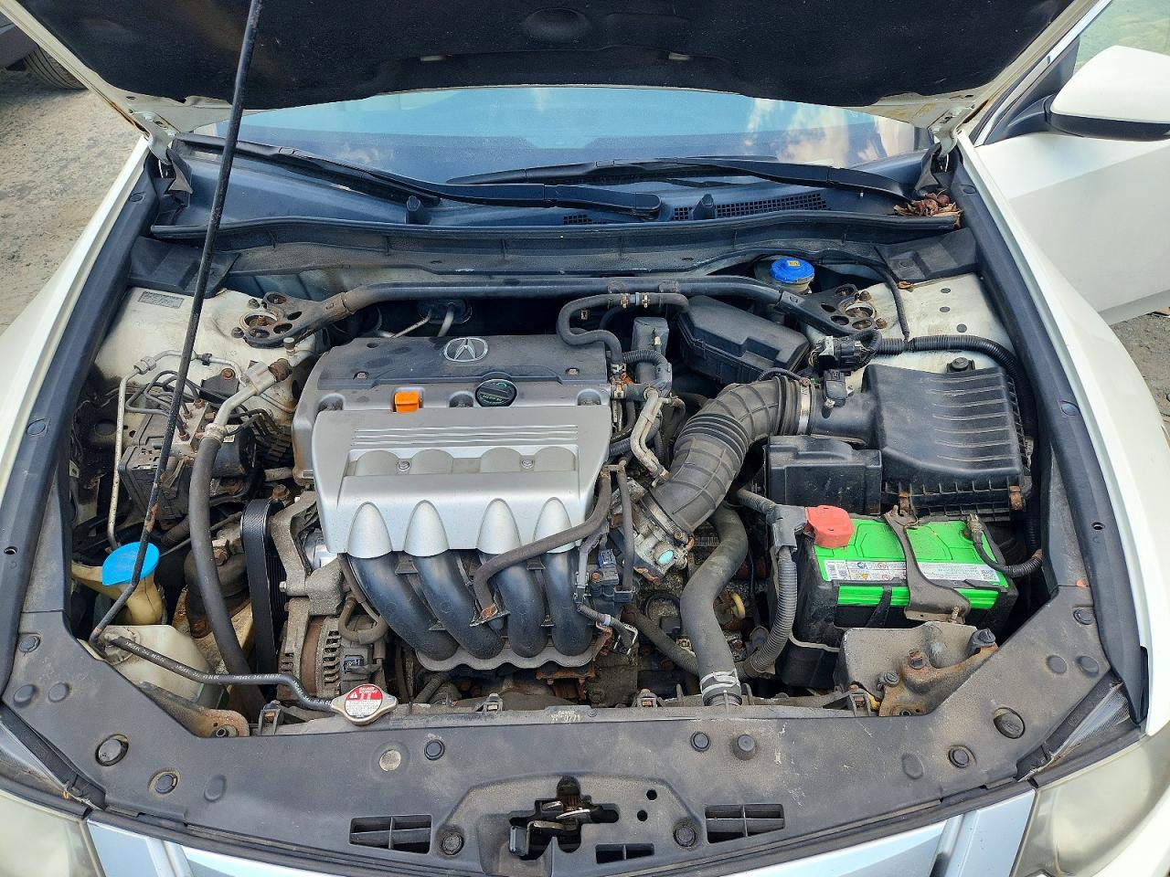 2010 Acura Tsx White vin: JH4CU2F60AC011555