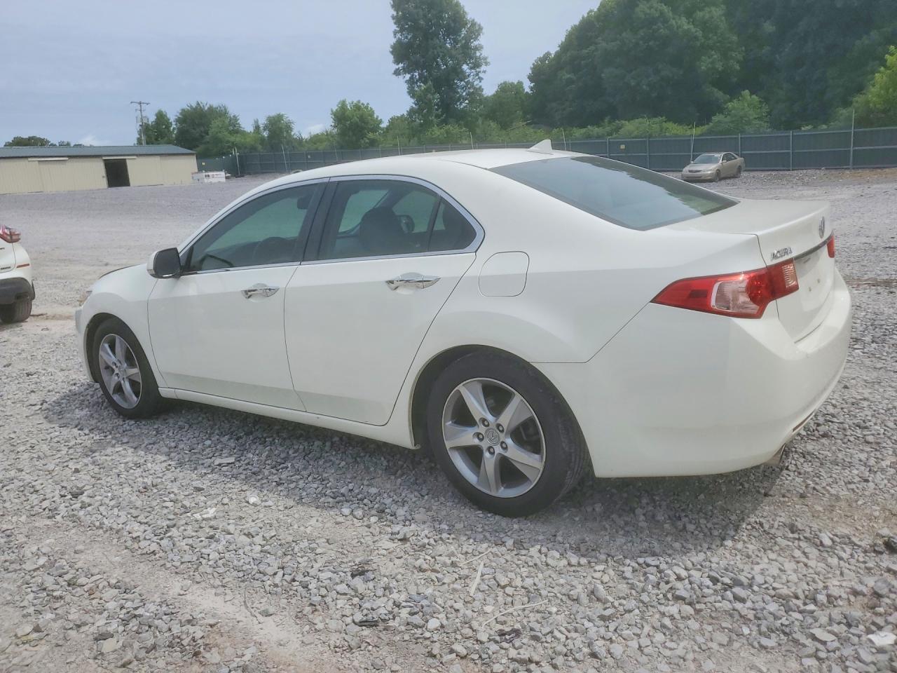 2011 Acura Tsx White vin: JH4CU2F60BC014232