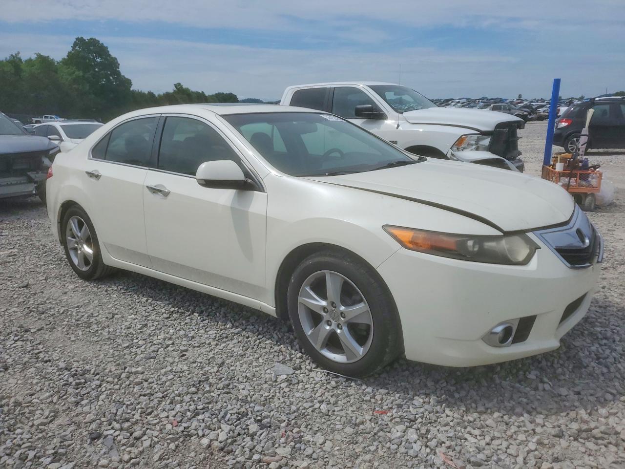 2011 Acura Tsx White vin: JH4CU2F60BC014232