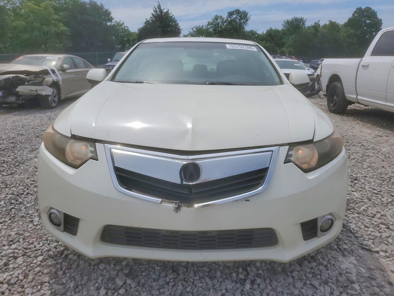 2011 Acura Tsx White vin: JH4CU2F60BC014232