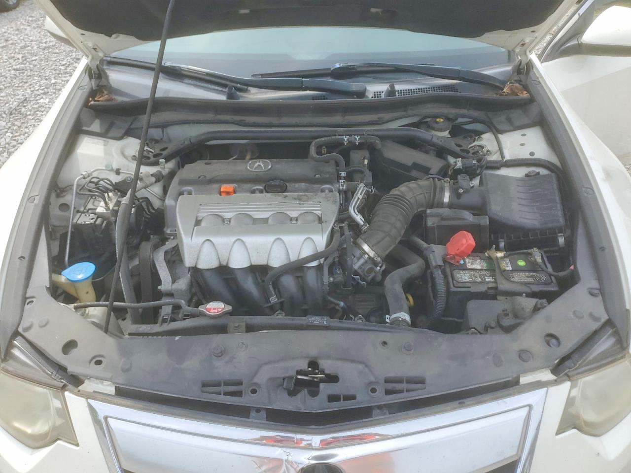 2011 Acura Tsx White vin: JH4CU2F60BC014232