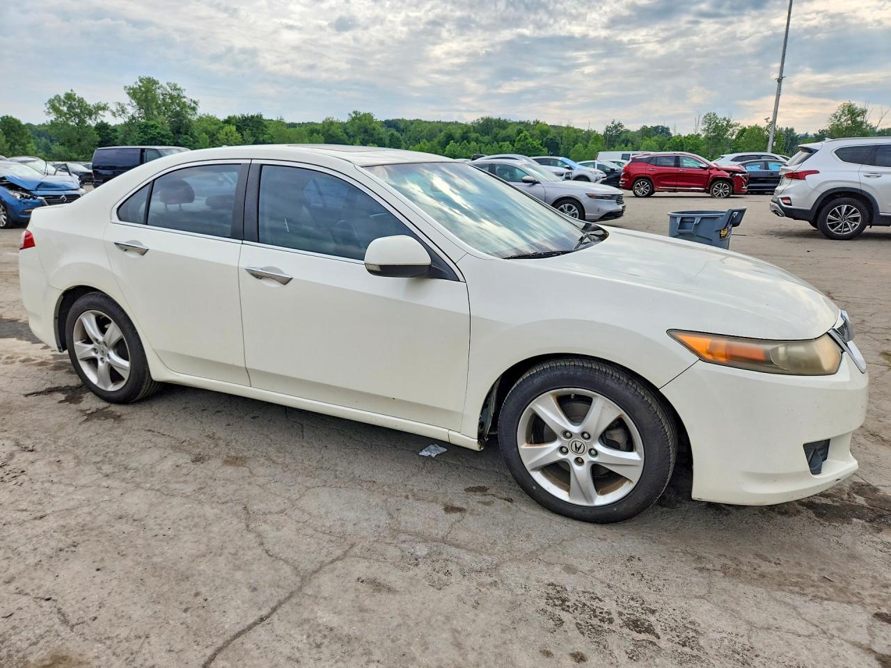 2010 Acura Tsx White vin: JH4CU2F61AC009331