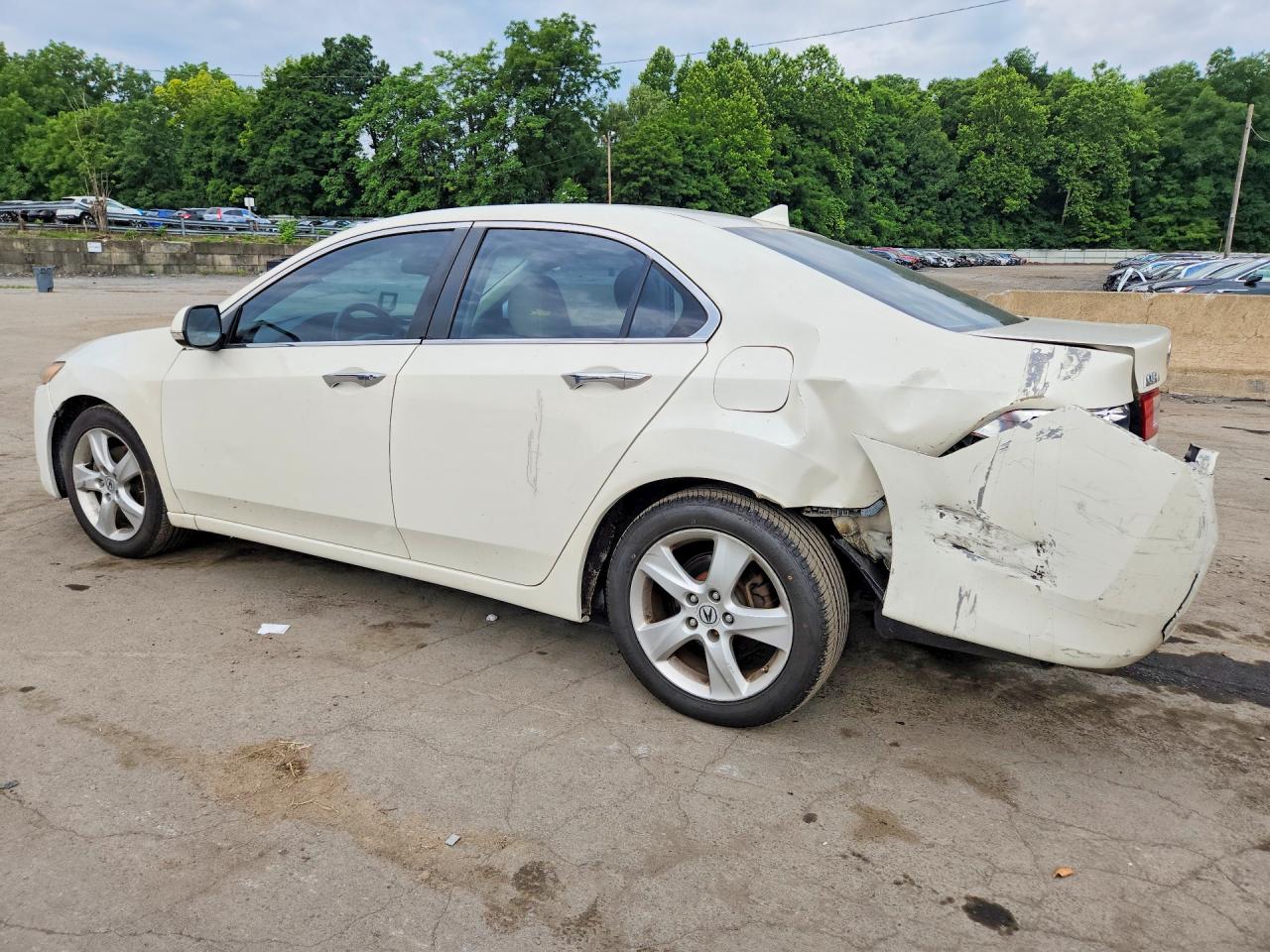 2010 Acura Tsx White vin: JH4CU2F61AC009331