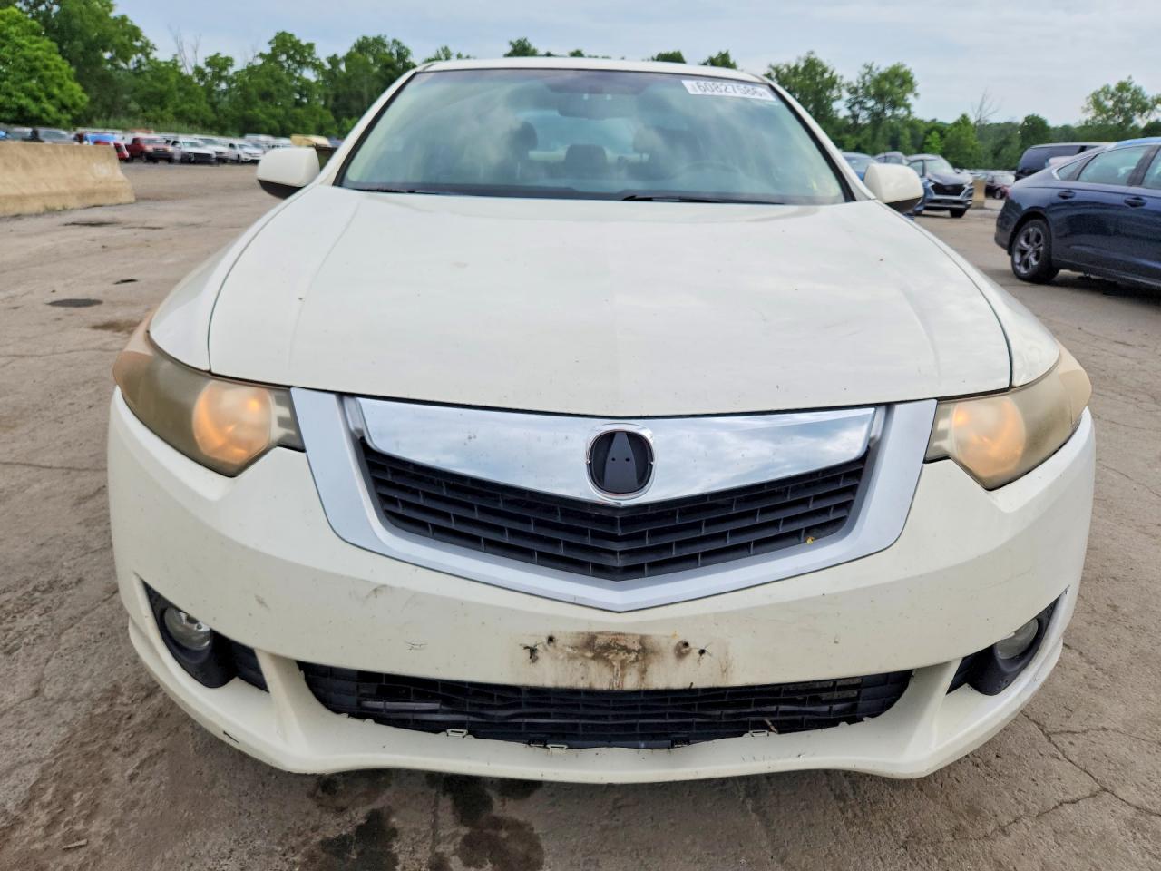2010 Acura Tsx White vin: JH4CU2F61AC009331