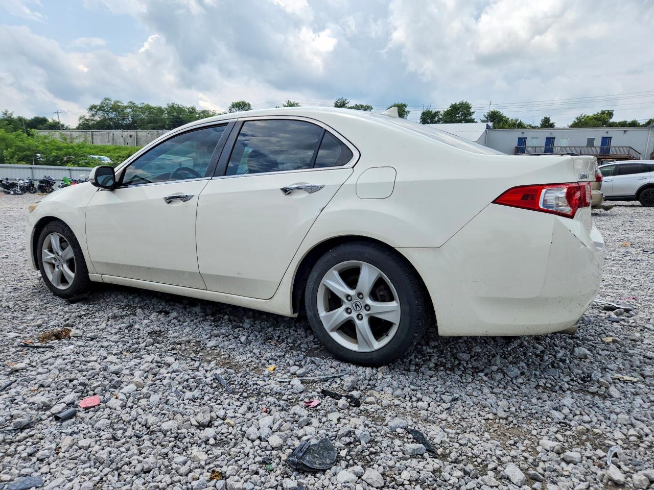 2010 Acura Tsx Белый vin: JH4CU2F61AC035055