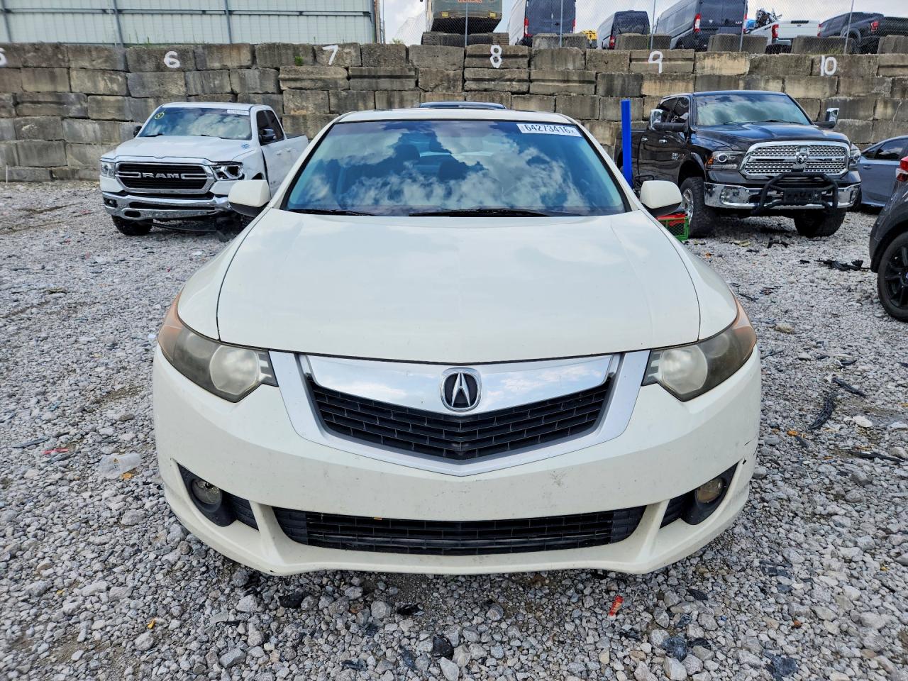 2010 Acura Tsx Белый vin: JH4CU2F61AC035055