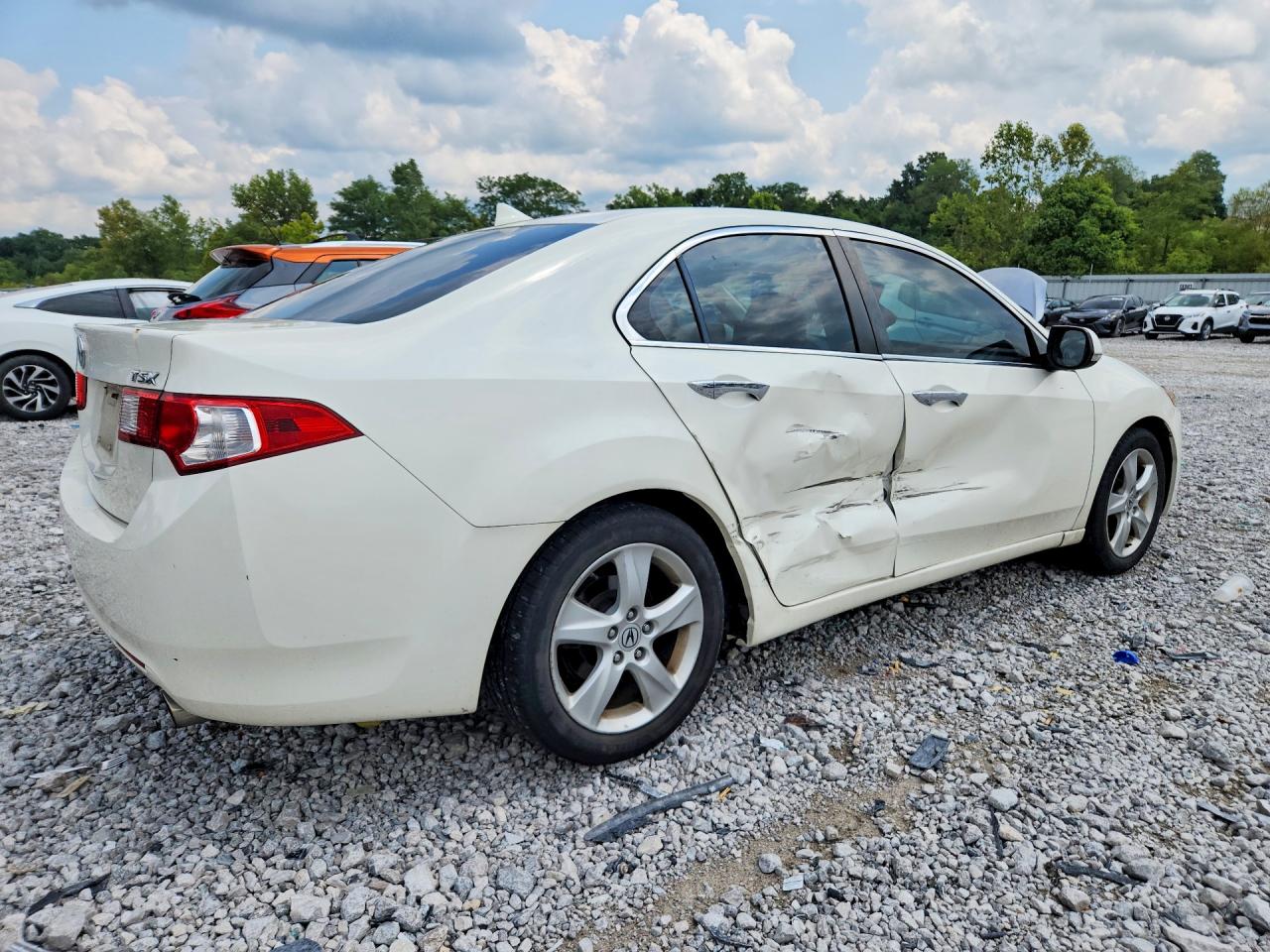 2010 Acura Tsx Белый vin: JH4CU2F61AC035055