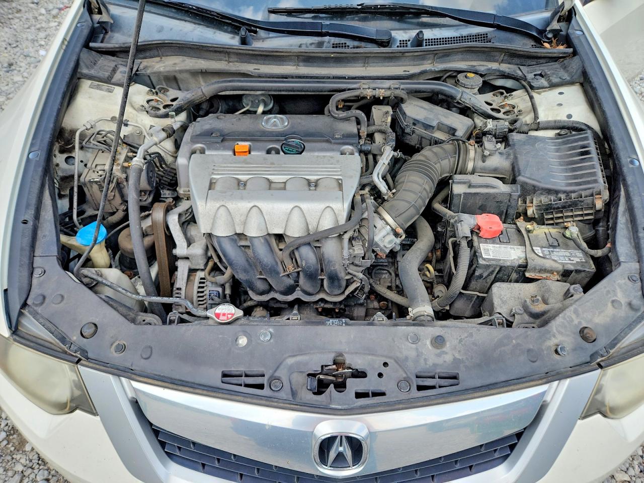 2010 Acura Tsx Белый vin: JH4CU2F61AC035055