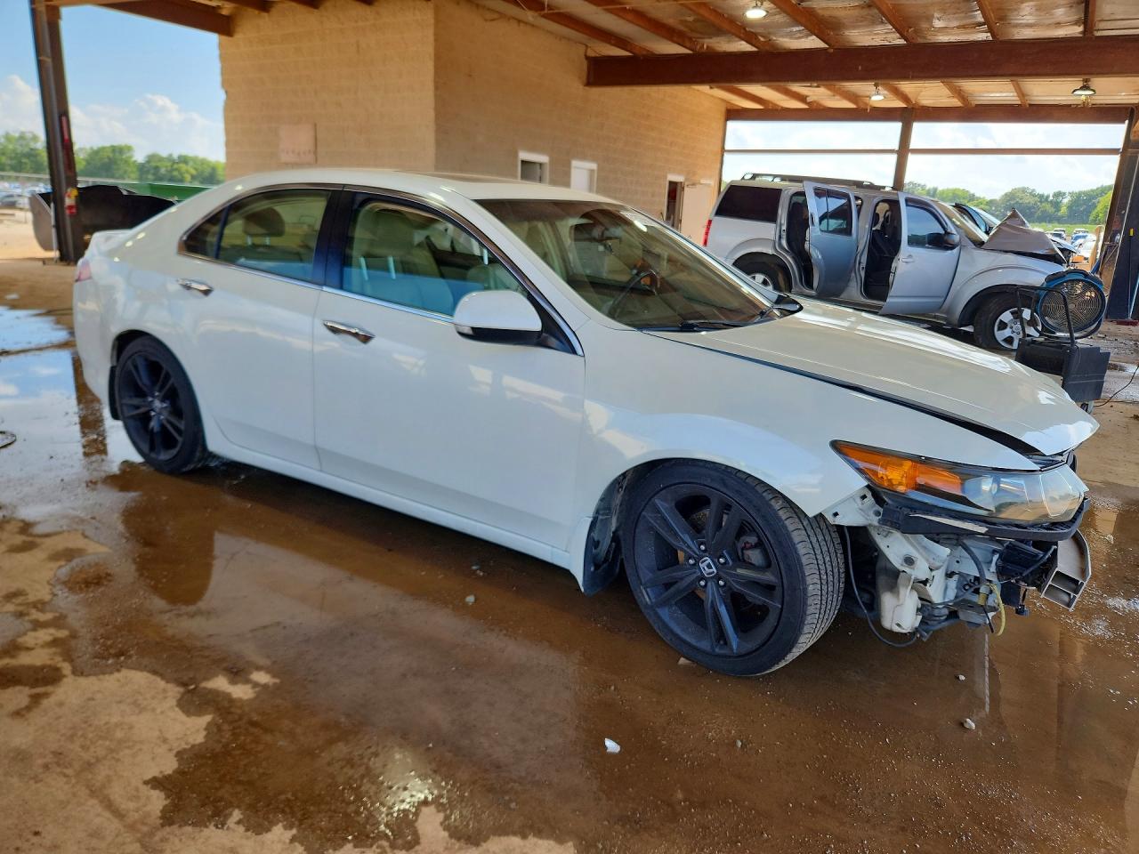 2010 Acura Tsx Белый vin: JH4CU2F63AC009282