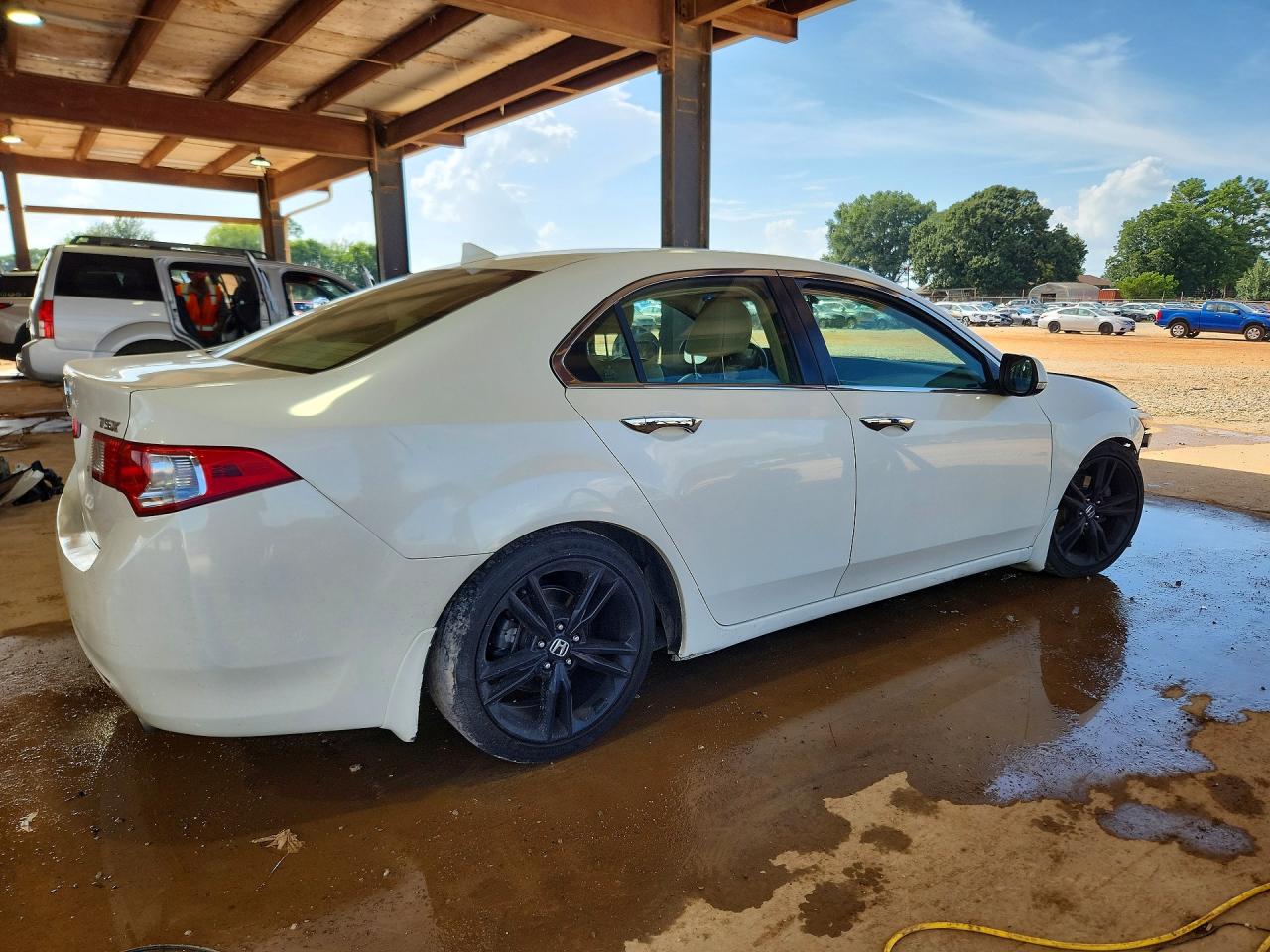 2010 Acura Tsx Белый vin: JH4CU2F63AC009282
