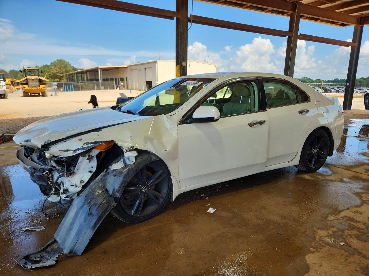 2010 Acura Tsx White vin: JH4CU2F63AC009282