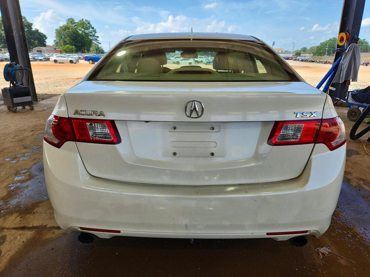 2010 Acura Tsx Белый vin: JH4CU2F63AC009282