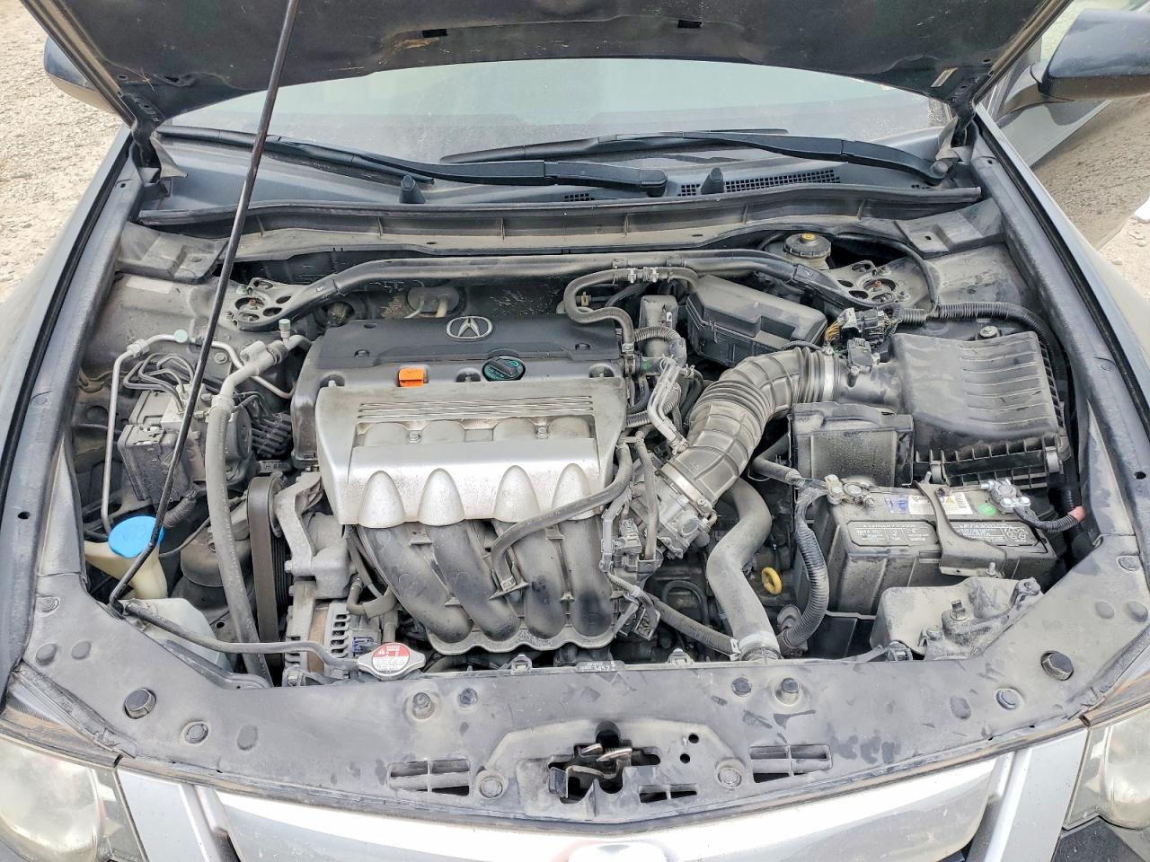 2010 Acura Tsx Black vin: JH4CU2F63AC010836