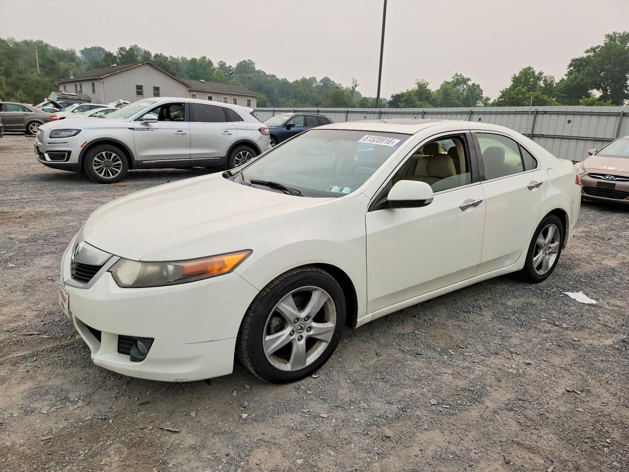 2010 Acura Tsx White vin: JH4CU2F64AC002163