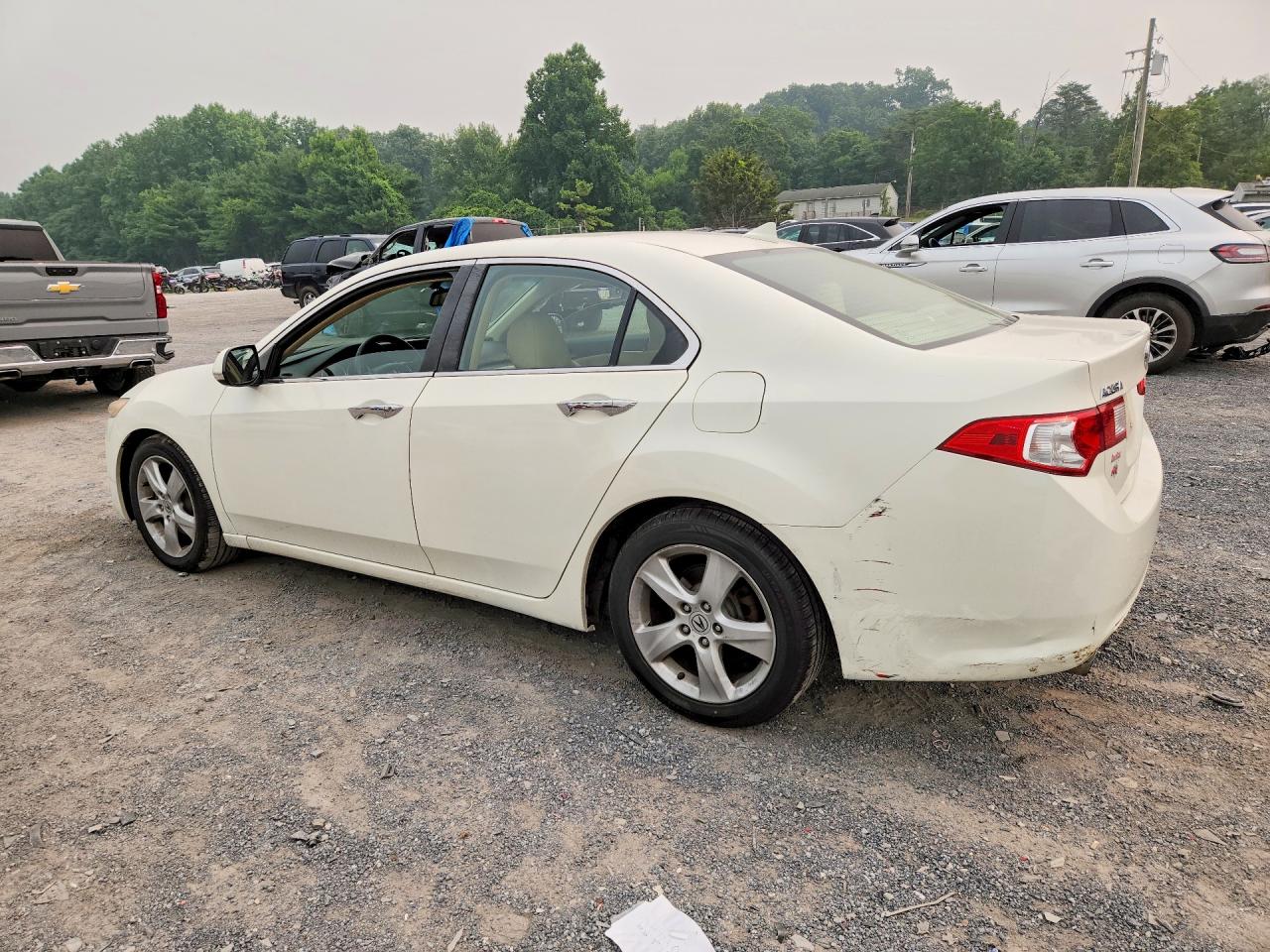 2010 Acura Tsx White vin: JH4CU2F64AC002163