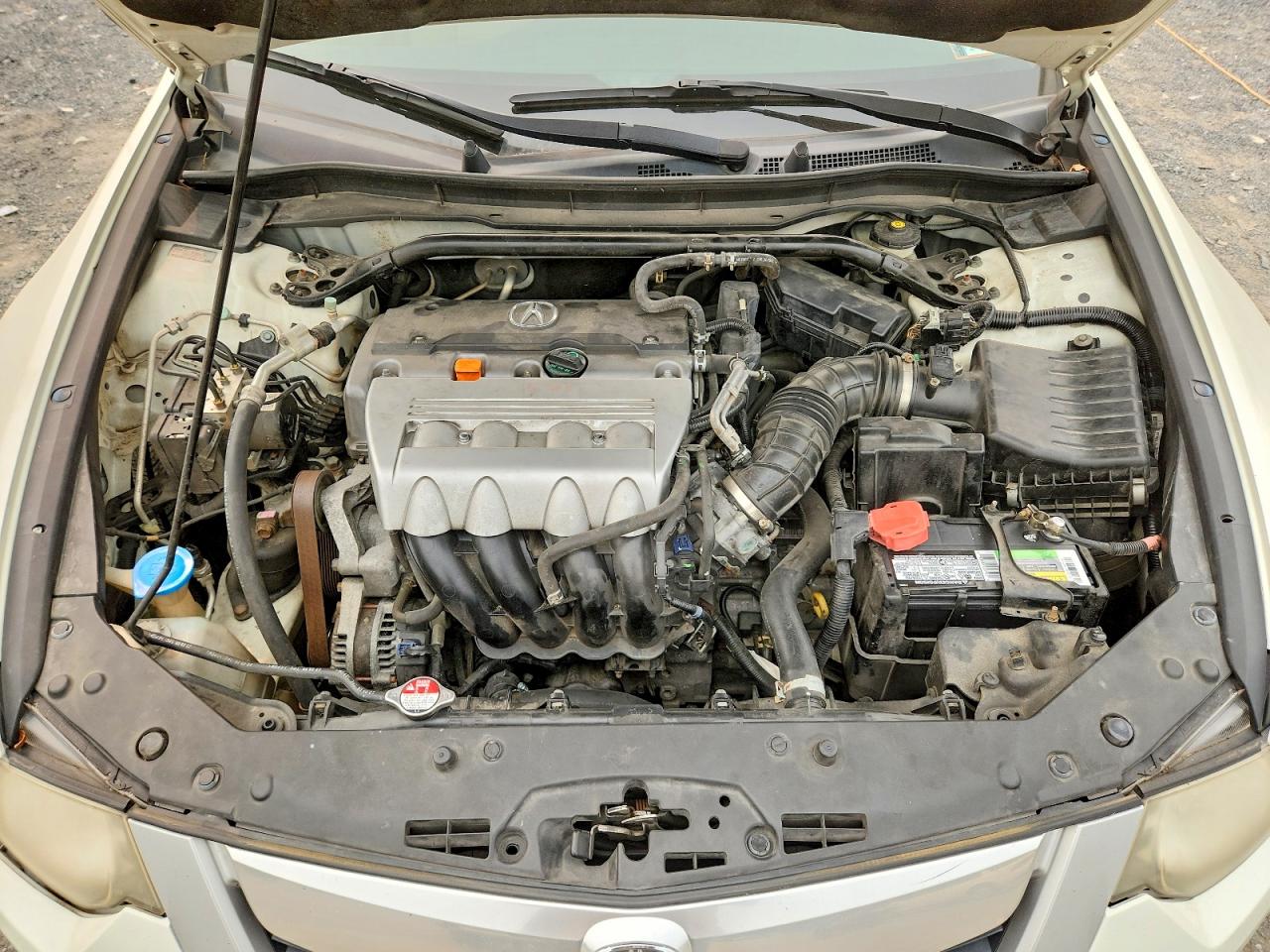 2010 Acura Tsx White vin: JH4CU2F64AC002163