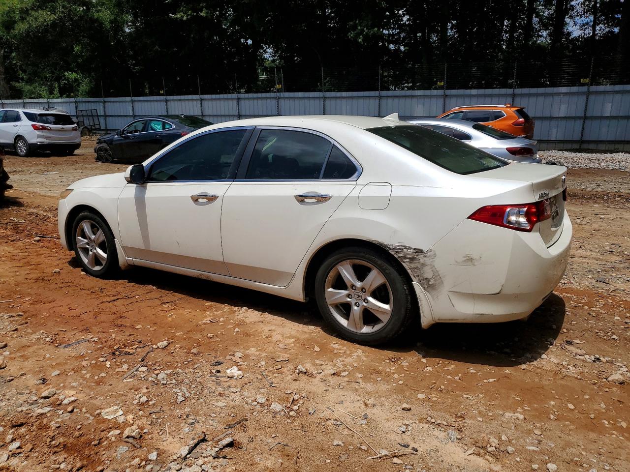 2010 Acura Tsx White vin: JH4CU2F65AC041120