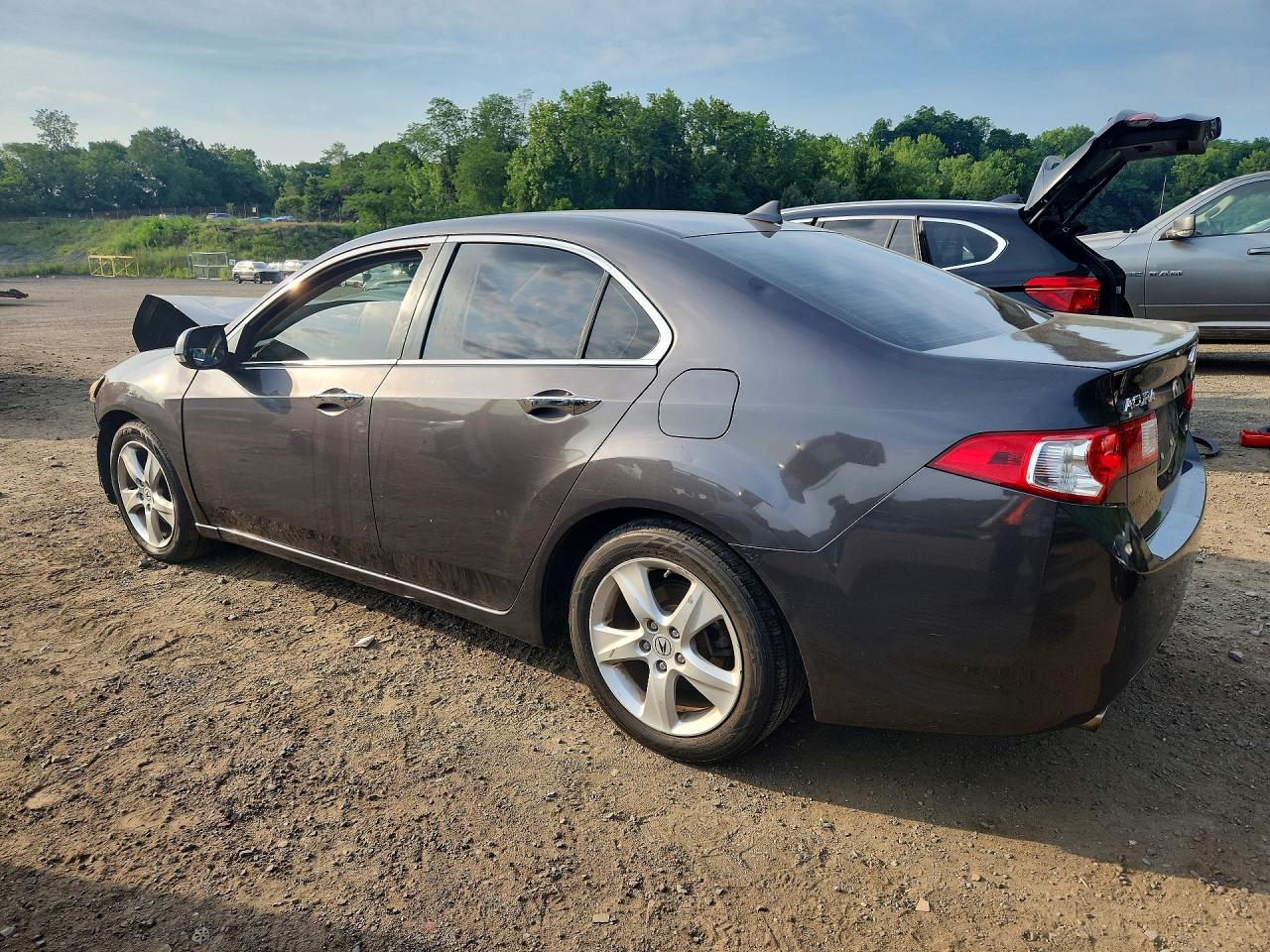 2010 Acura Tsx Gray vin: JH4CU2F66AC008806