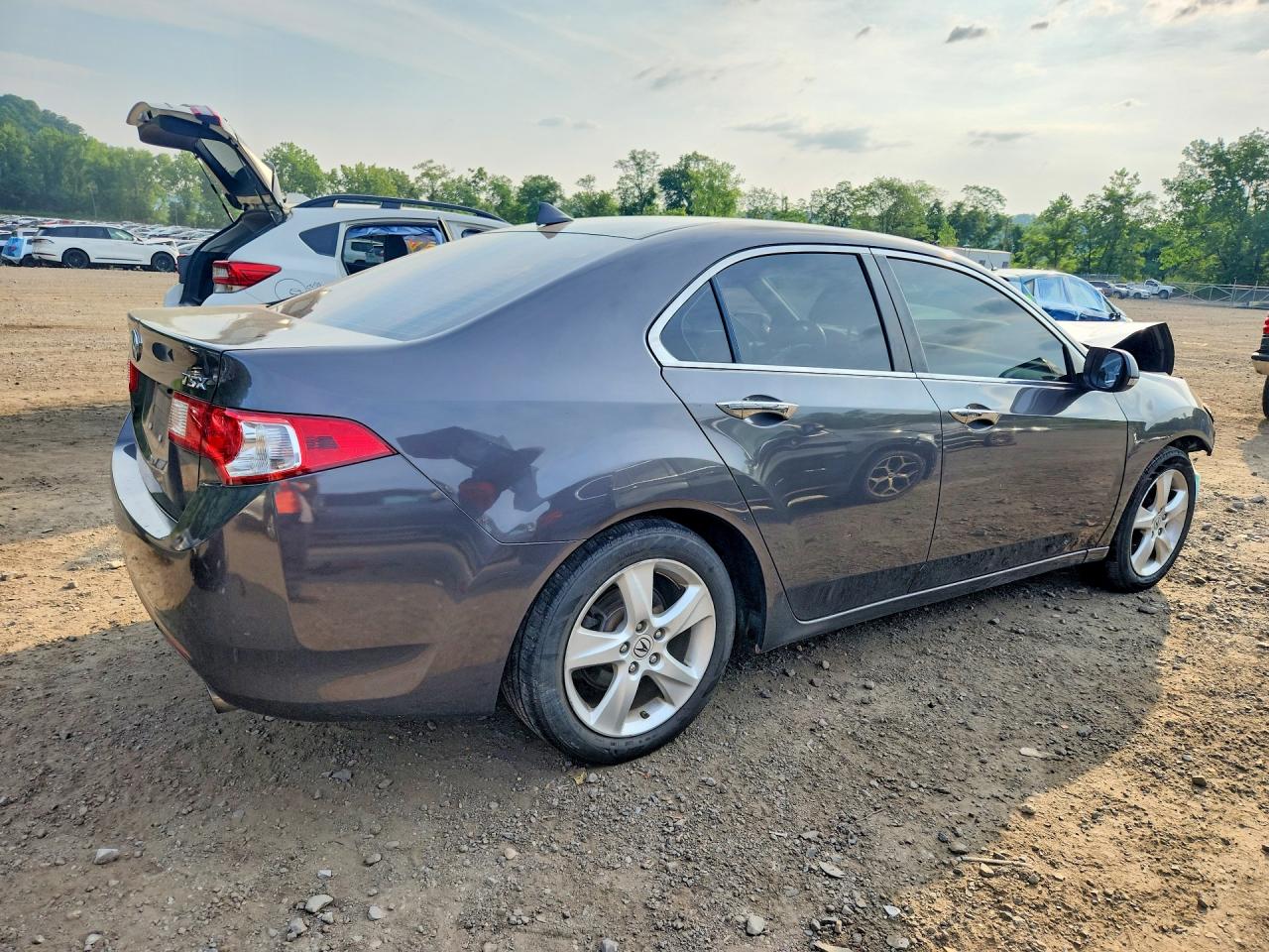 2010 Acura Tsx Gray vin: JH4CU2F66AC008806