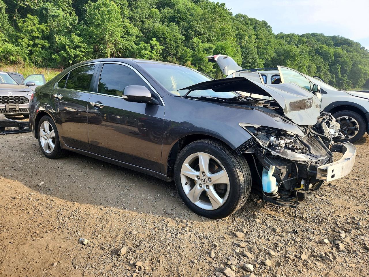 2010 Acura Tsx Gray vin: JH4CU2F66AC008806