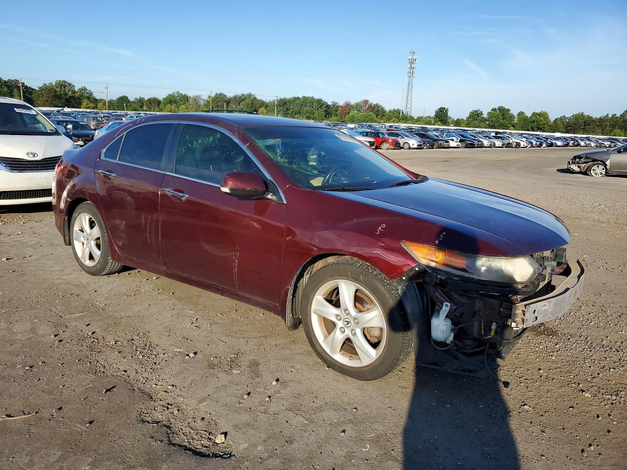 2010 Acura Tsx Бордовый vin: JH4CU2F66AC033172