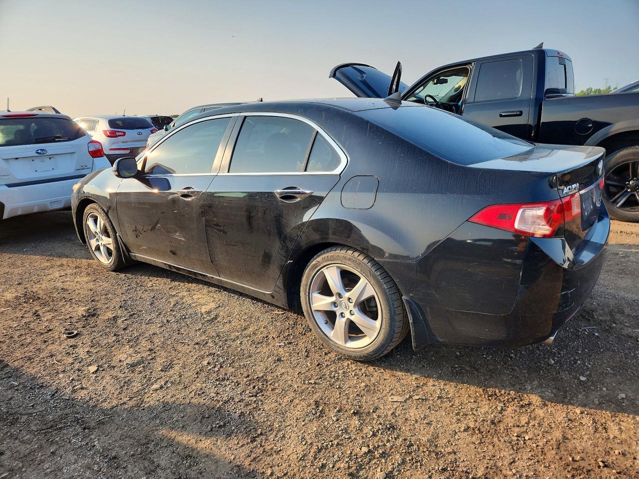 2011 Acura Tsx Black vin: JH4CU2F66BC015501