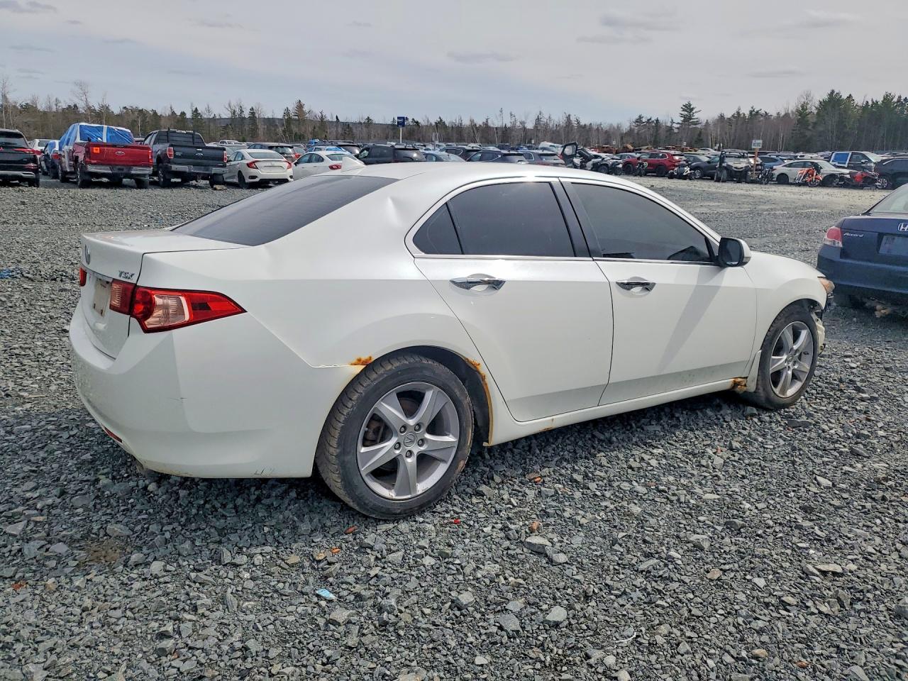 2012 Acura Tsx Tech White vin: JH4CU2F66CC800540