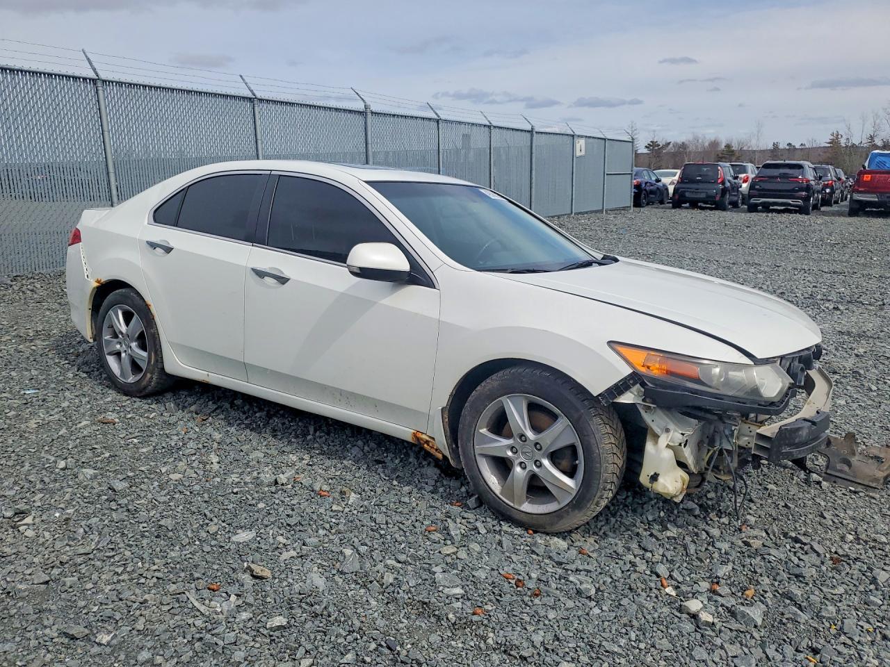 2012 Acura Tsx Tech White vin: JH4CU2F66CC800540