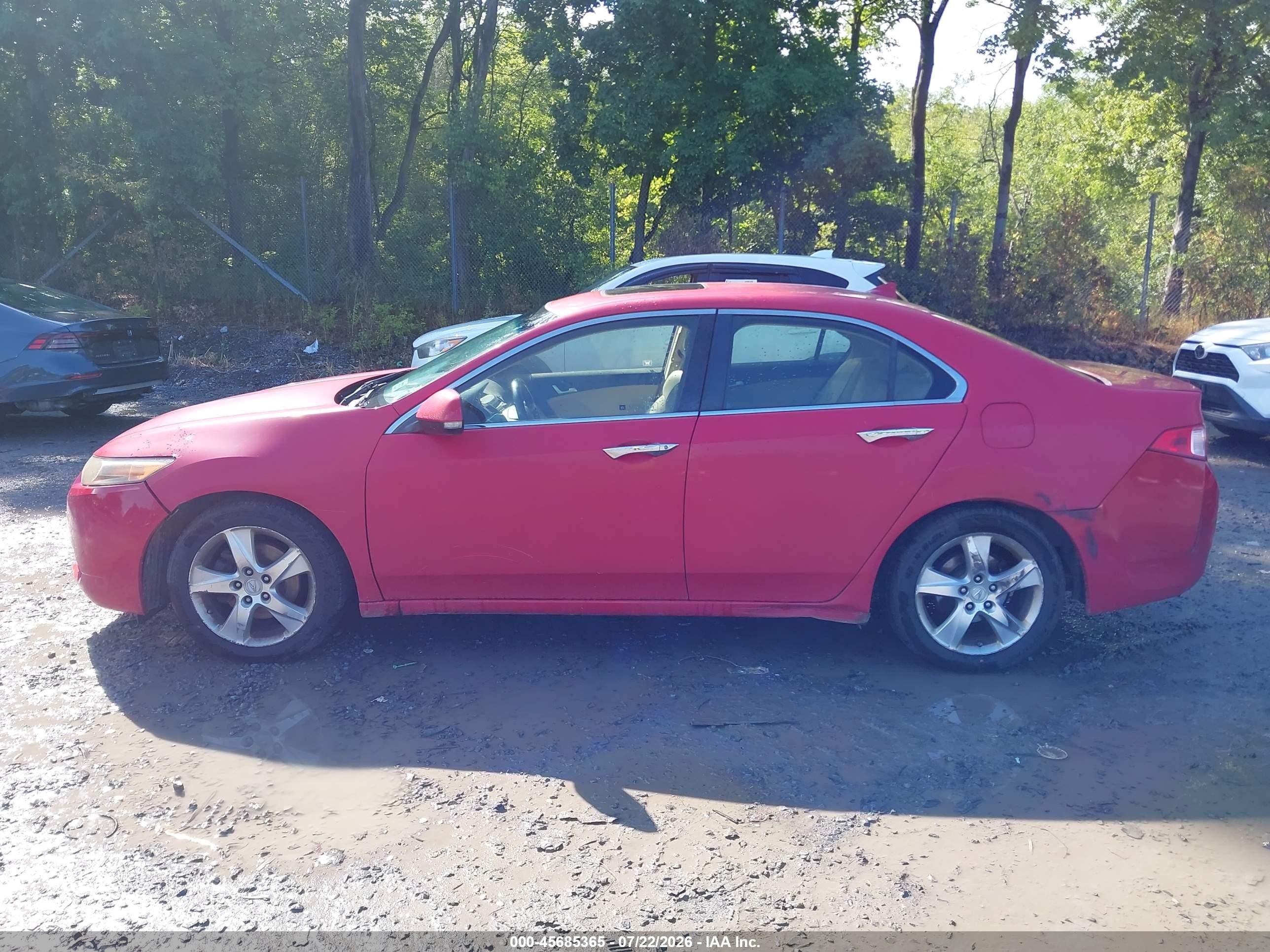 2013 Acura Tsx 2.4 Red vin: JH4CU2F66DC002055