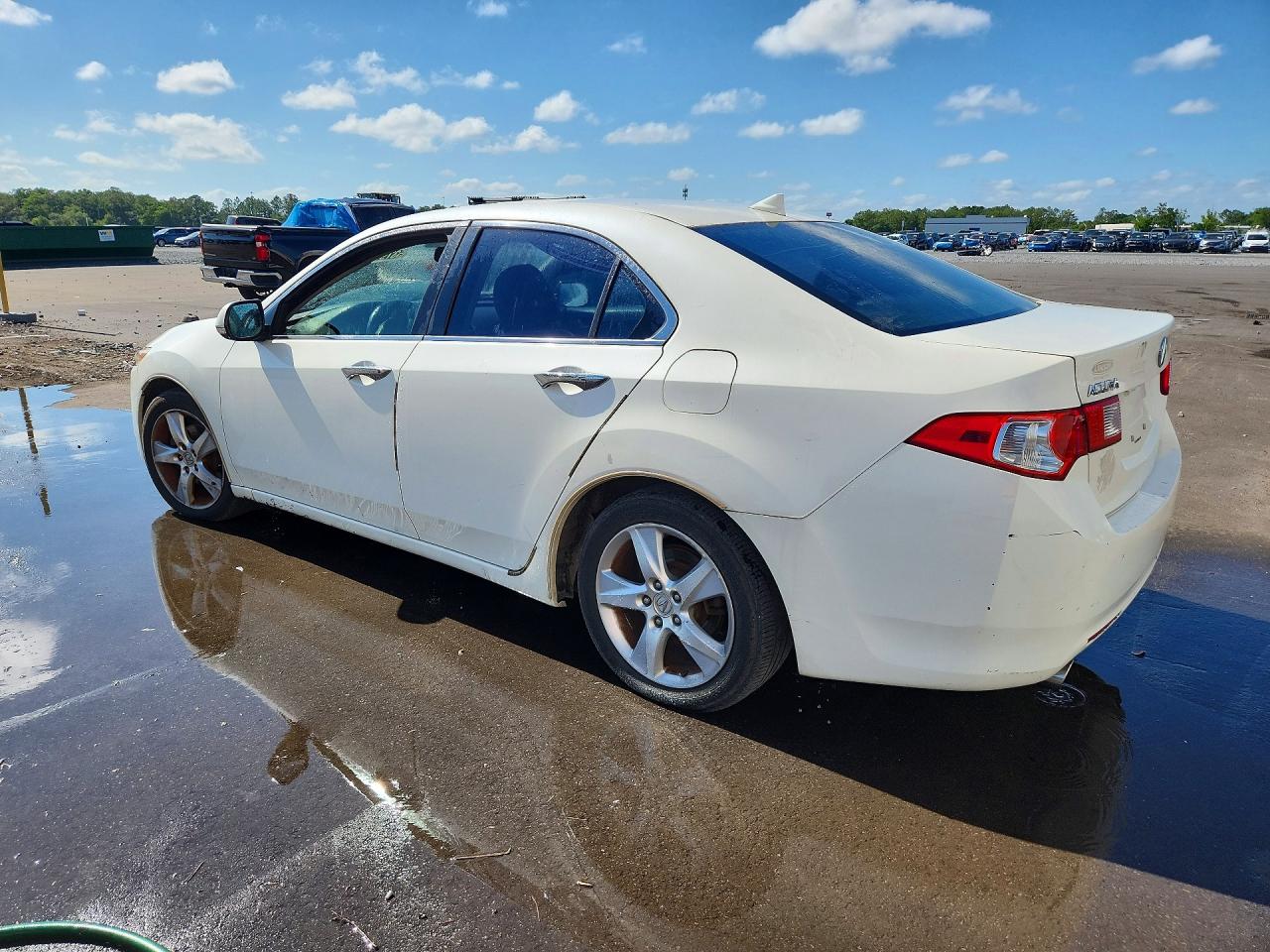 2010 Acura Tsx White vin: JH4CU2F67AC005266