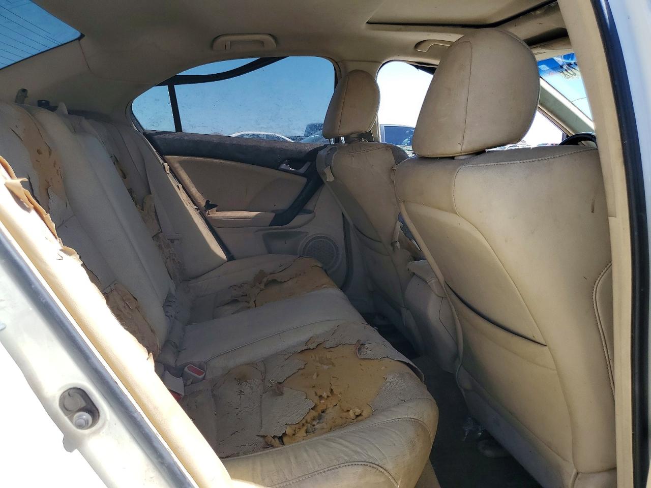 2010 Acura Tsx White vin: JH4CU2F67AC039272