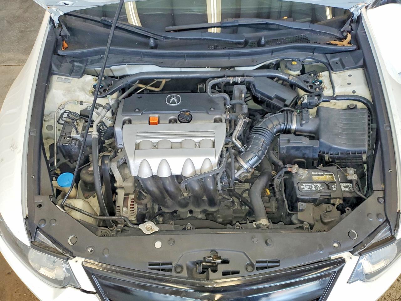 2011 Acura Tsx Белый vin: JH4CU2F67BC007309