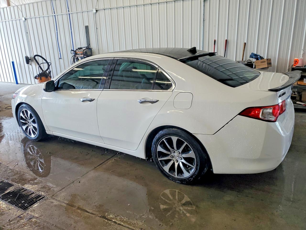 2011 Acura Tsx Белый vin: JH4CU2F67BC007309