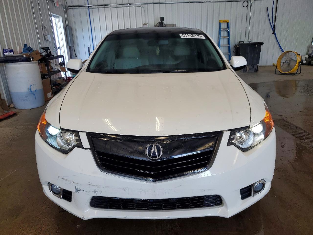 2011 Acura Tsx Белый vin: JH4CU2F67BC007309