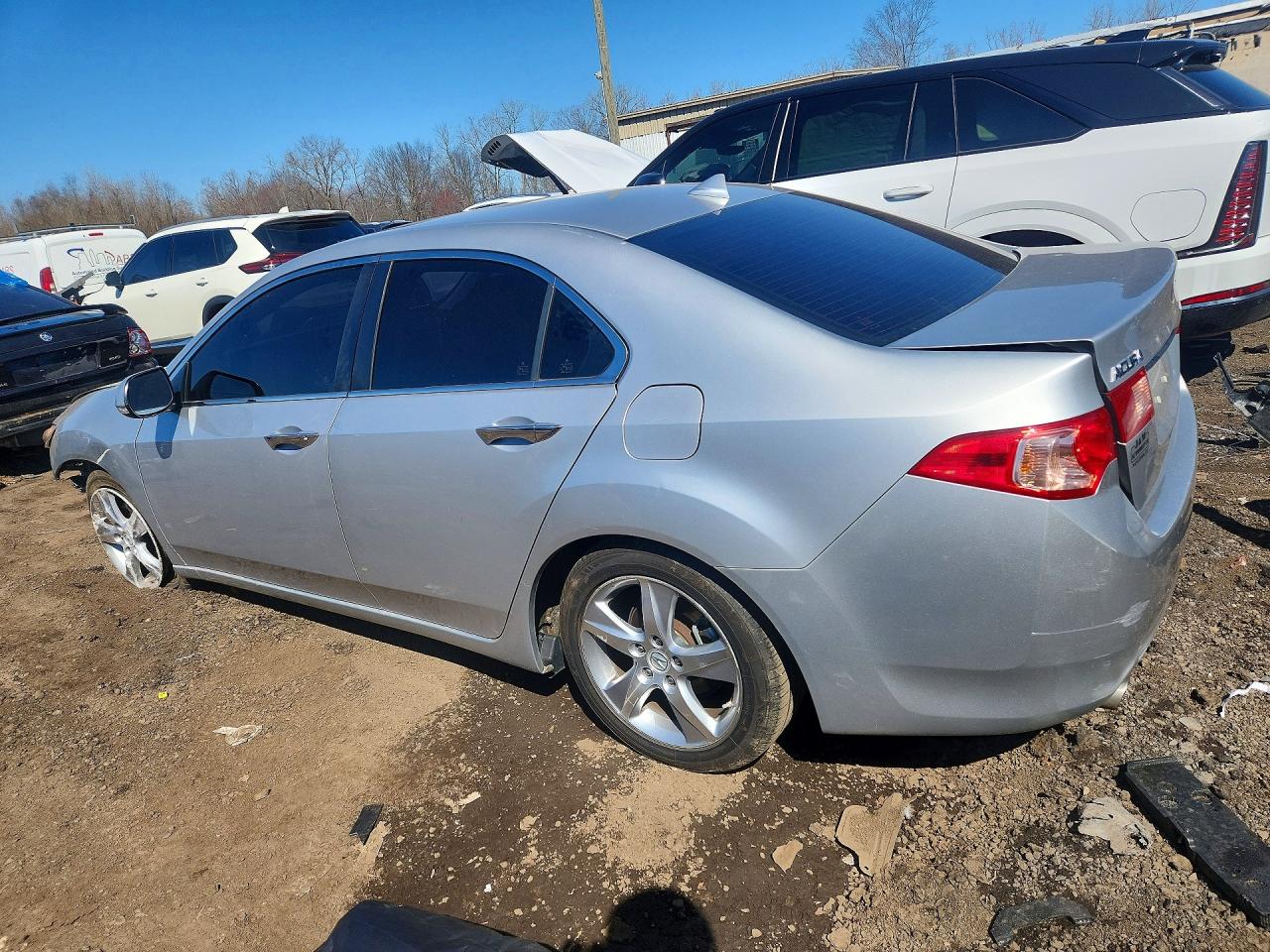 2011 Acura Tsx Silver vin: JH4CU2F67BC016544