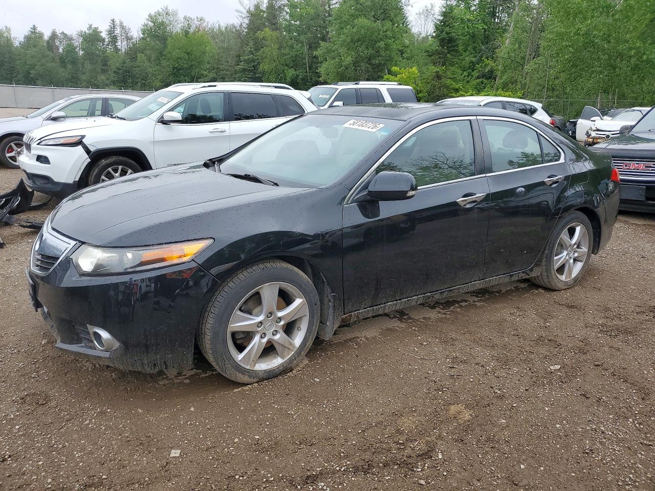 2011 Acura Tsx Black vin: JH4CU2F67BC800318