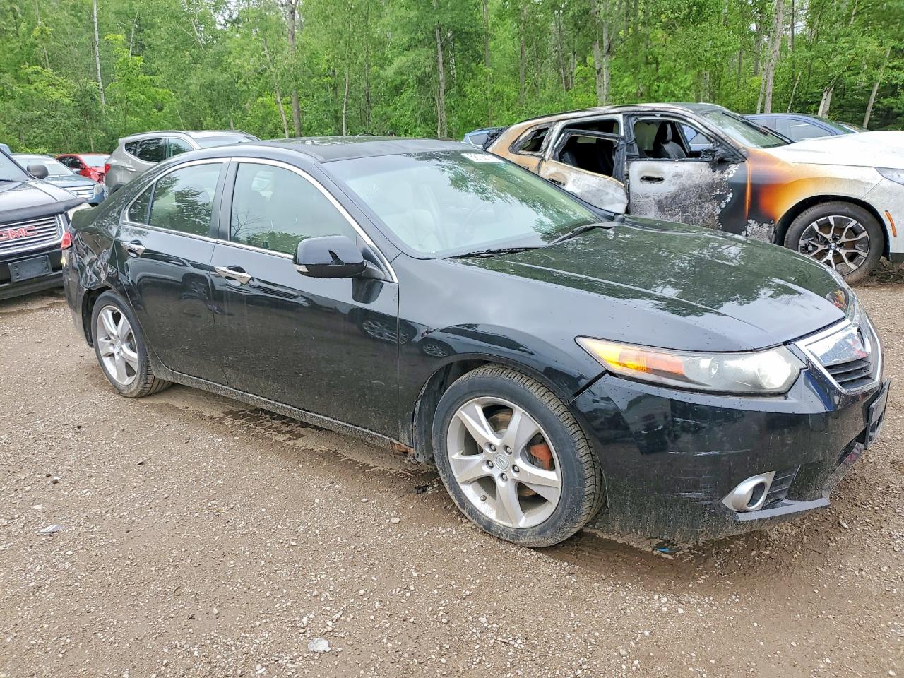 2011 Acura Tsx Black vin: JH4CU2F67BC800318