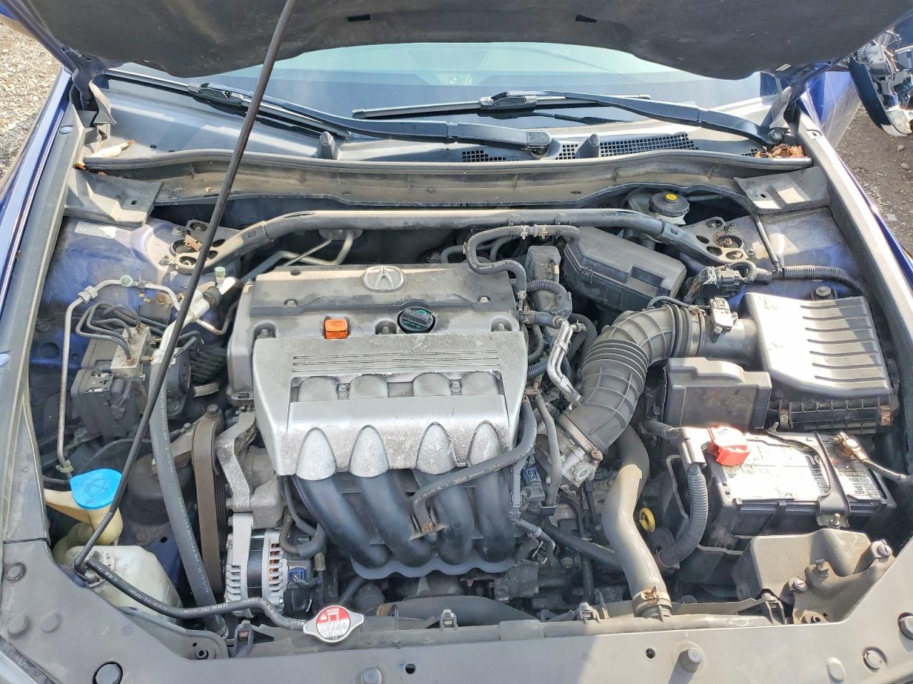 2010 Acura Tsx Blue vin: JH4CU2F68AC016535