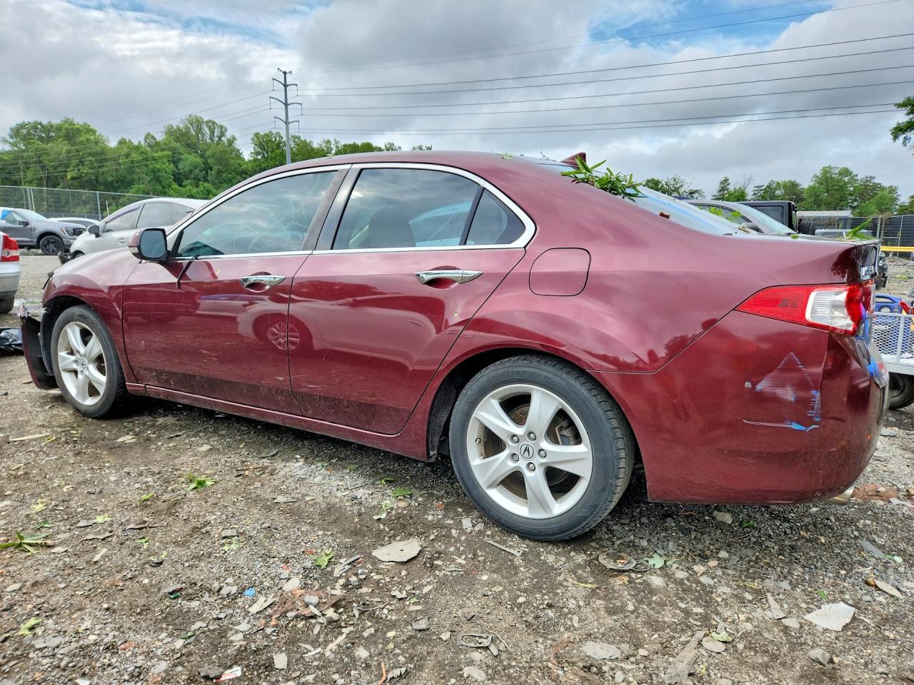 2010 Acura Tsx Бордовый vin: JH4CU2F68AC017877