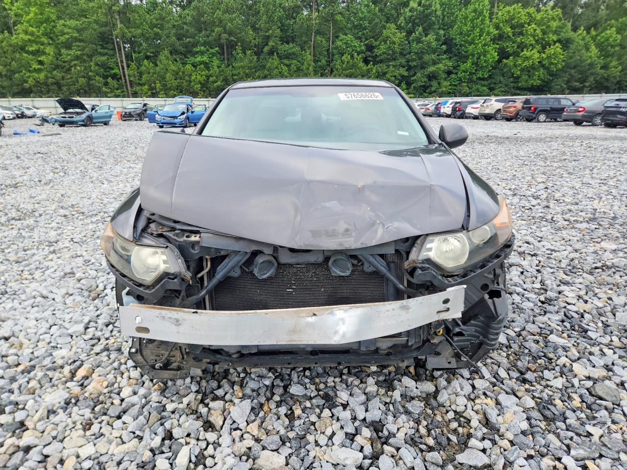2010 Acura Tsx Gray vin: JH4CU2F69AC043064