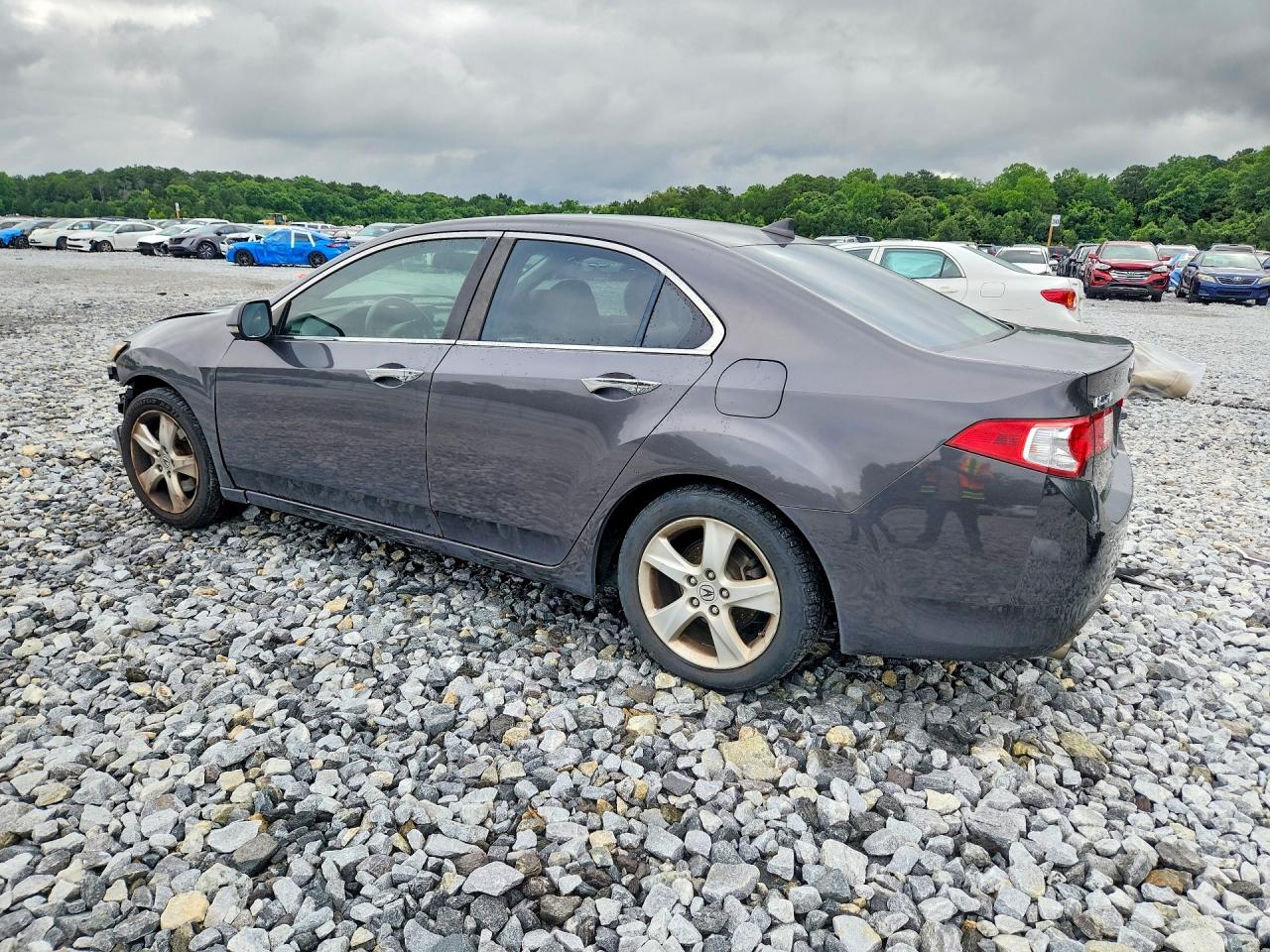 2010 Acura Tsx Gray vin: JH4CU2F69AC043064