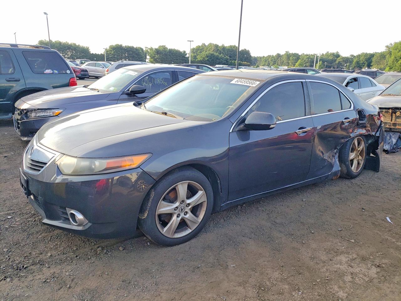 2011 Acura Tsx Серый vin: JH4CU2F69BC009126